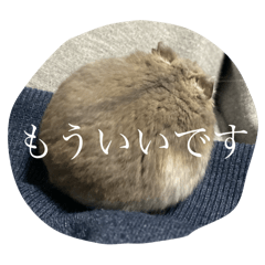 Ran_20250216021823