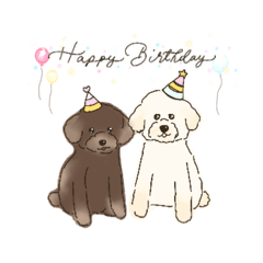 George&Brown (toy poodle)