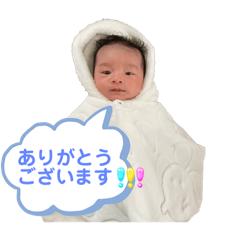 himawari_20250216183550