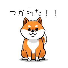 Living with a Goofy Shiba Inu