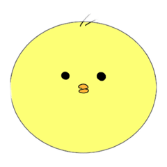 piyo_20250216112834