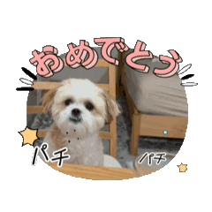 Miki_20250216182576