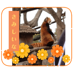umi_20250216193117