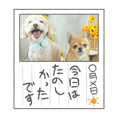 tututu_20250216192908