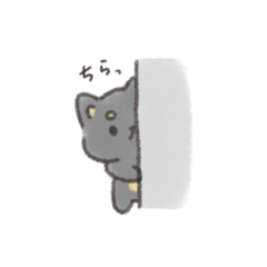 aya_20250216193938