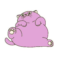 pink plump cat