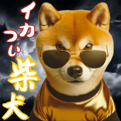 ikashita Shiba