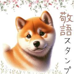 otonanokeigo Shiba