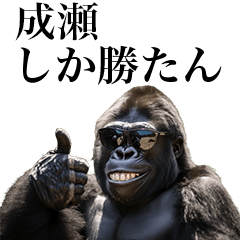 [Naruse] Funny Gorilla stamp to send