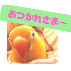 kn_20250216163554