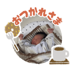 Koto_20250216164034