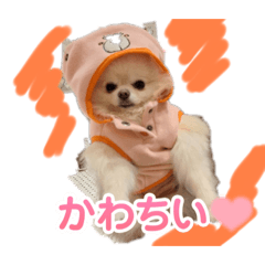 aya_20250216203120