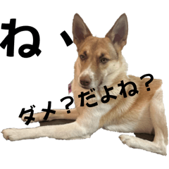 gt'mz
