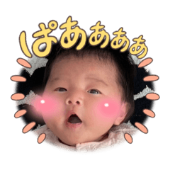 hikari_20250216204724