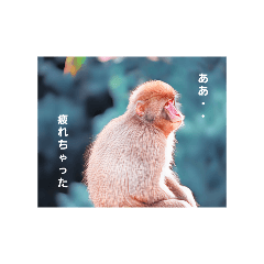yoko_20250216013831