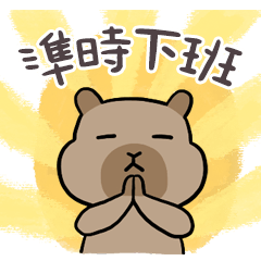 Miss A:Capybara pray - workplace