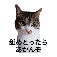 Hana_20250216151617