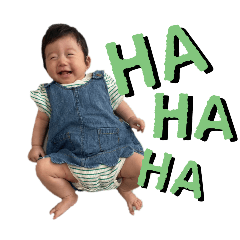 nojiko_20250216211916