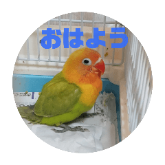 kn_20250216212300