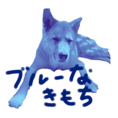 mii_20250216222030