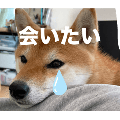 tsuuu_20250216162405