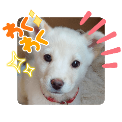 ミィとソラ。