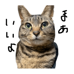 Miiisan_20250216162632