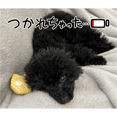 Hayato_20250216233733