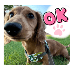 ratch_20250216235445