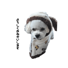Moo_20250216182253