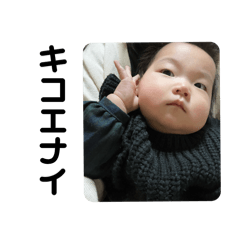 KICHI_20250217012636