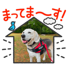 yuki_20250216213623