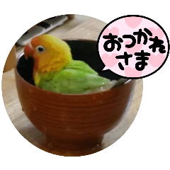kn_20250216213841