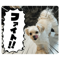 sato_20250216213321