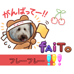 HANA_20250216173132