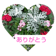 TomoChan_20250216160112