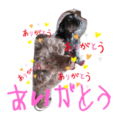 maki_20250216210337