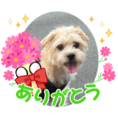 YUKI_20250217091315