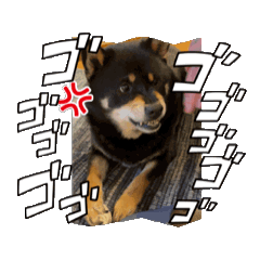 Ayumi_20250217124045