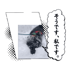 Ayumi_20250217110942
