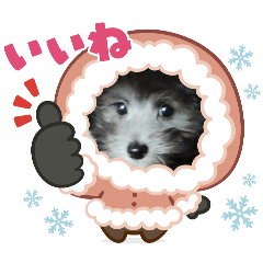 hiroki_20250217123151