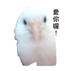 林玫瑰