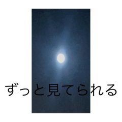 pipi_20250216213406