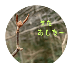chie_20250217002428