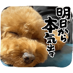 mame_20250217111710