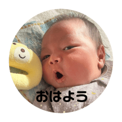 kinako_20250217114800
