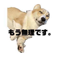 J_20250217002538