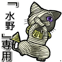 Mummycat Name Animation Mizuno