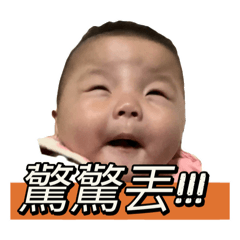 小胖Boss