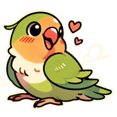 Love bird Cippi 1